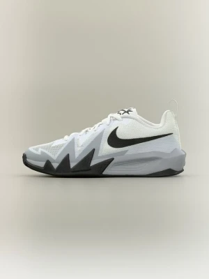 Obuwie do koszykówki Nike biały