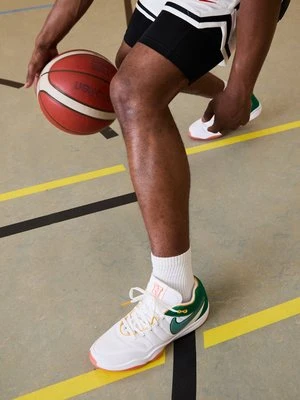 Obuwie do koszykówki Nike Performance