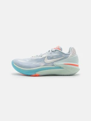 Obuwie do koszykówki Nike Performance