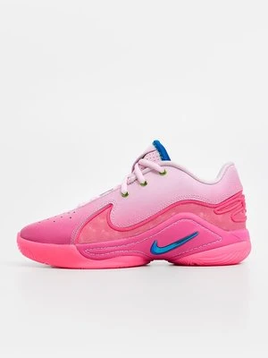 Obuwie do koszykówki Nike Performance