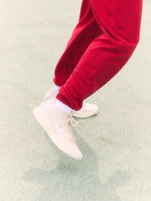 Obuwie do koszykówki Nike Performance