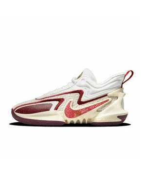 Obuwie do koszykówki Nike Performance