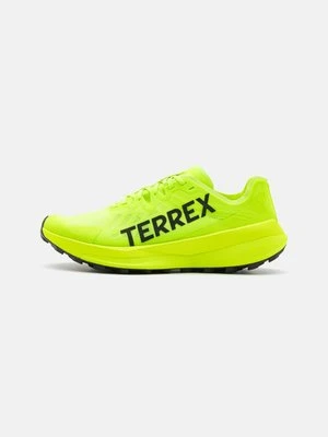 Obuwie do biegania Szlak adidas Terrex