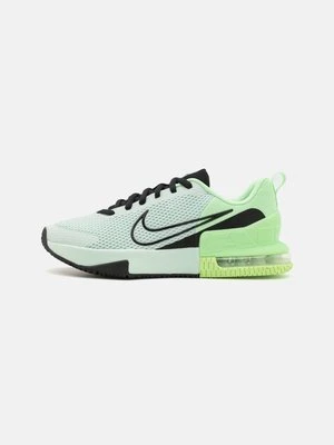 Obuwie treningowe Nike Performance
