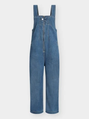Ogrodniczki Free People niebieski