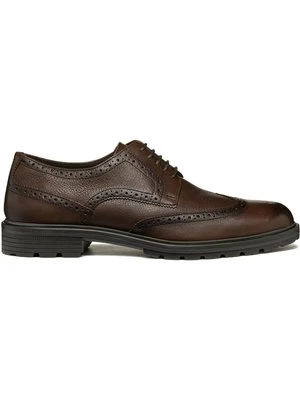 Oksfordki Geox