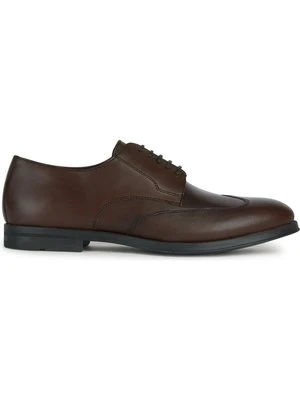 Oksfordki Geox