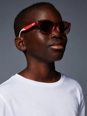 Okulary przeciwsłoneczne Emporio Armani