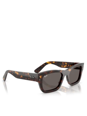 Okulary przeciwsłoneczne Ray-Ban 0RB7683S Brązowy