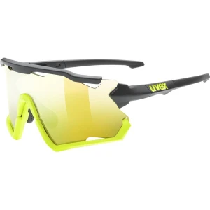 Okulary przeciwsłoneczne Sportstyle 228 Uvex