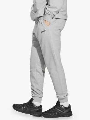 Old Logo spodnie dresowe męskie szare Prosto