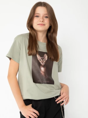 Oliwkowy t-shirt z nadrukiem z motywem kota