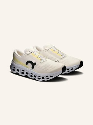 On Buty Do Biegania Cloudmonster 3 grau szary