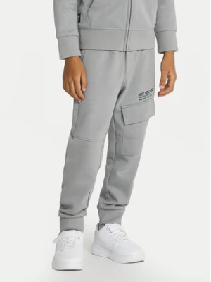 Original Marines Spodnie dresowe DEA2540B Szary Regular Fit
