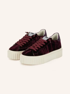 p448 Trampki Creeper 88 rot FIOLETOWY