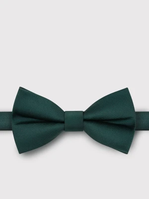 PAKO LORENTE – Basicowa gładka zielona mucha