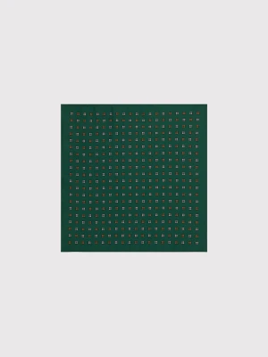 PAKO LORENTE – Męska poszetka w kolorze zielonym