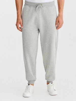 PAKO LORENTE - Spodnie dresowe w szarym kolorze