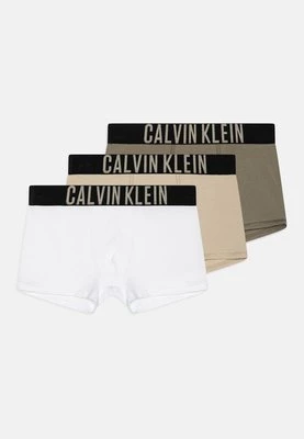 Panty Calvin Klein Underwear