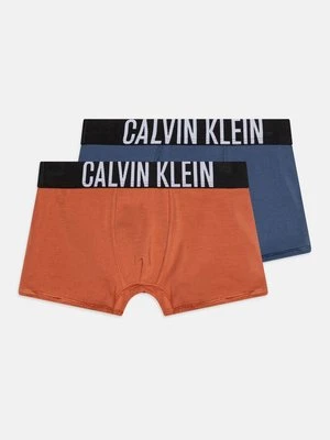 Panty Calvin Klein Underwear