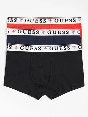 Panty Guess