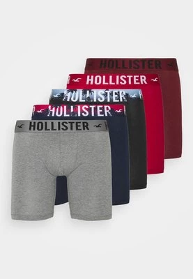 Panty Hollister Co.