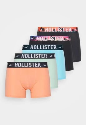 Panty Hollister Co.