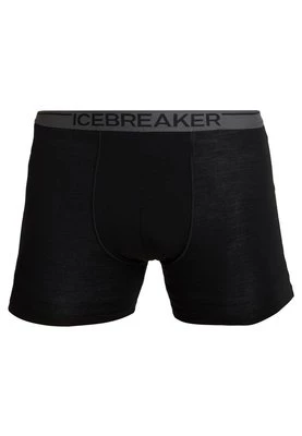 Panty Icebreaker