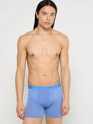 Panty Icebreaker