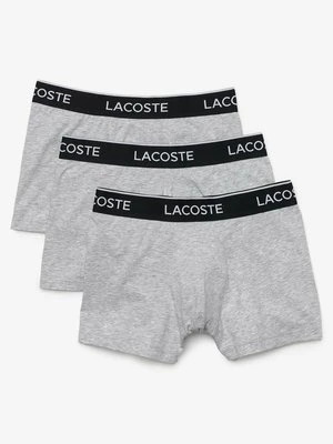 Panty Lacoste