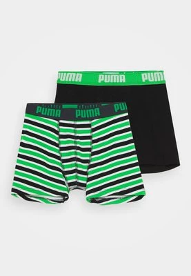 Panty Puma