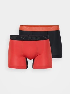Panty Puma