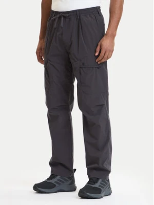 Parajumpers Spodnie materiałowe Mallaig 26SMPMPATU04 Szary Regular Fit