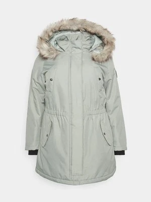 Parka Only Curve