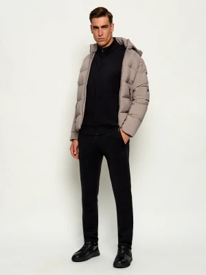 Paul&Shark Dres | Regular Fit czarny