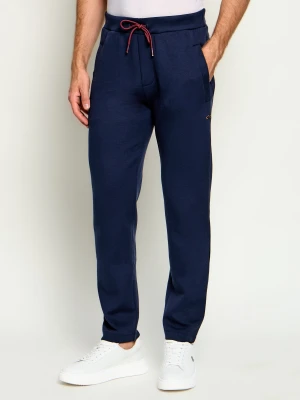 Paul&Shark Spodnie dresowe | Regular Fit granatowy