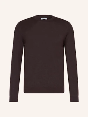 Paul Sweter braun