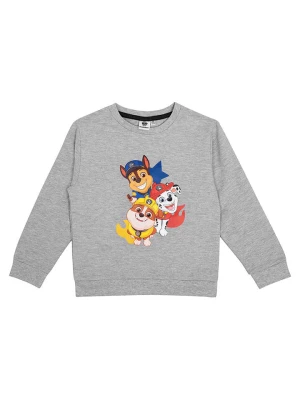 Paw Patrol Bluza w kolorze szarym rozmiar: 110/116