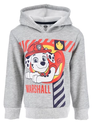 Paw Patrol Bluza w kolorze szarym ze wzorem rozmiar: 98