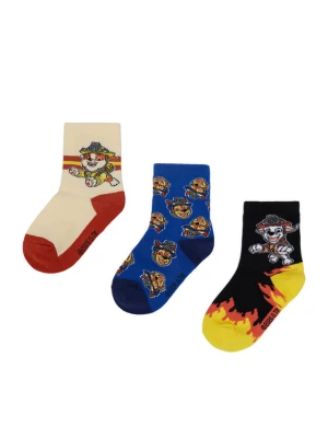 Paw Patrol Skarpety długie CEO-ACCCS-AW26-306PAW(3-PACK) Kolorowy