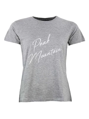 Peak Mountain T-shirt w kolorze szarym rozmiar: L
