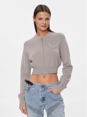 Pinko Kardigan Bambusa 102819 A115 Szary Regular Fit