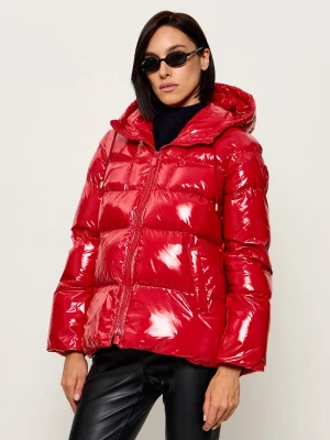 Pinko Kurtka Eleodoro | Regular Fit czerwony