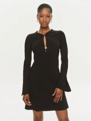 Pinko Sukienka codzienna Aquarios 101825 A15M Czarny Regular Fit