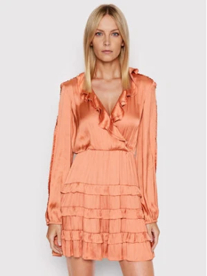 Pinko Sukienka codzienna Ardea 1G173P Y7UW Różowy Regular Fit