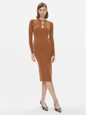 Pinko Sukienka dzianinowa Leone 101845 A15S Brązowy Slim Fit