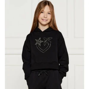 Pinko UP Bluza | Regular Fit