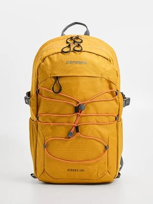 Plecak icepeak