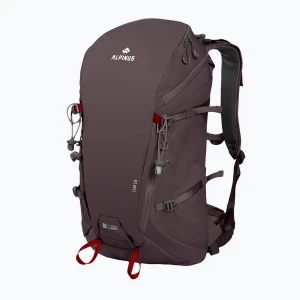 Plecak turystyczny Alpinus Teno 24 l gray Brązowy