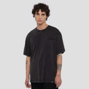 Dickies Plentywood Tee Short Sleeve mężczyźni T-Shirty i Polo szary rozmiar Odzież